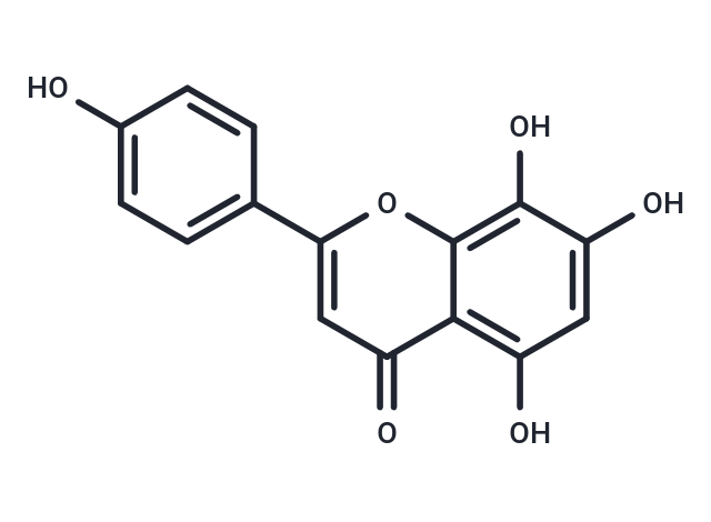 8-羥基芹菜素,8-Hydroxyapigenin