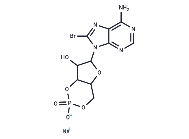 8-溴腺苷-3',5'-環(huán)單磷酸鈉,8-Bromo-cAMP sodium salt