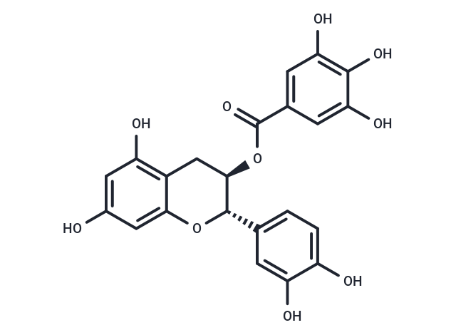 兒茶素沒食子酸酯,(-)-Catechin gallate