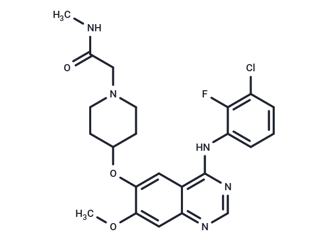 沙普替尼,Sapitinib