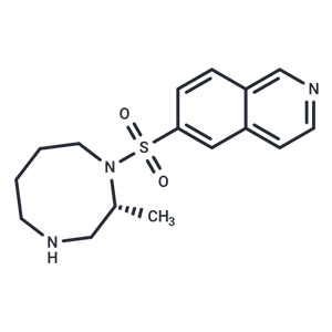 化合物 Cotosudil|T38654|TargetMol