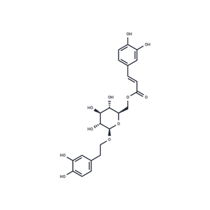 木通苯乙醇苷B,Calceolarioside B