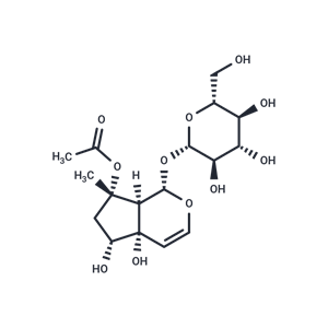 8-O-乙酰哈巴苷,8-?O-?Acetylharpagide