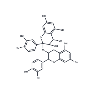 原花青素,Proanthocyanidins