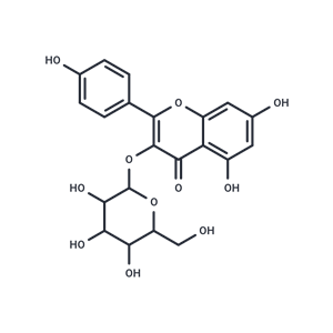 紫云英苷,Astragalin