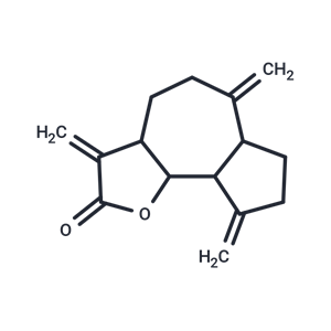 去氫木香烴內(nèi)酯,Dehydrocostus Lactone