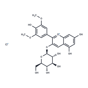 氯化錦葵色素-3-Β-葡糖苷,Malvidin-3-glucoside chloride