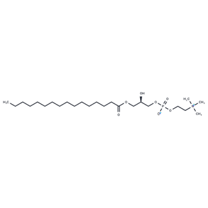 1-十六酰-SN-丙三醇-磷酸膽堿,1-Palmitoyl-sn-glycero-3-phosphocholine