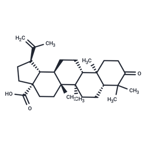 路路通酸,Betulonic acid