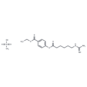 甲磺酸加貝酯|T0372|TargetMol