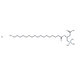 化合物 Stearoyl-L-carnitine chloride|T37735|TargetMol