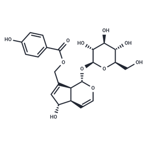 穗花牡荊苷|T3868|TargetMol