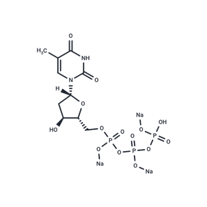 脫氧胸苷三磷酸三鈉鹽,Deoxythymidine-5