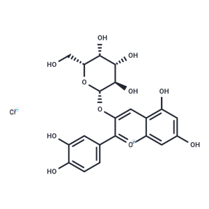 矢車菊素半乳糖苷,Cyanidin-3-O-galactoside chloride