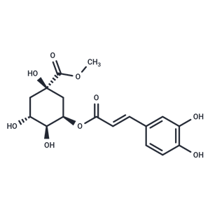 新綠原酸甲酯,Neochlorogenic acid methyl ester