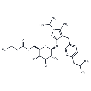 瑞格列凈乙酸酯,Remogliflozin etabonate