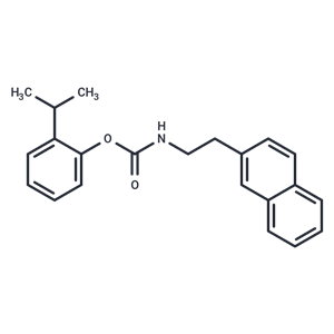 化合物 JW 480|T22883|TargetMol