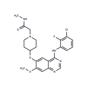 沙普替尼,Sapitinib