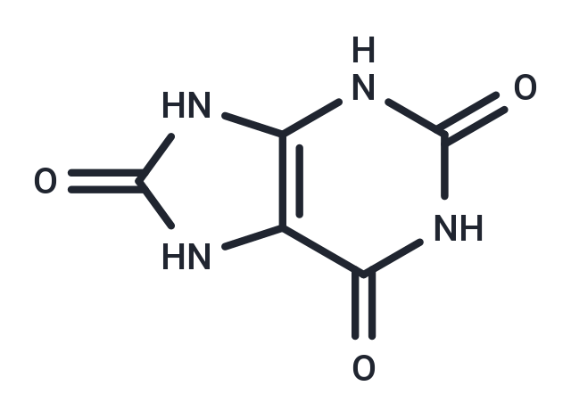 尿酸,Uric Acid