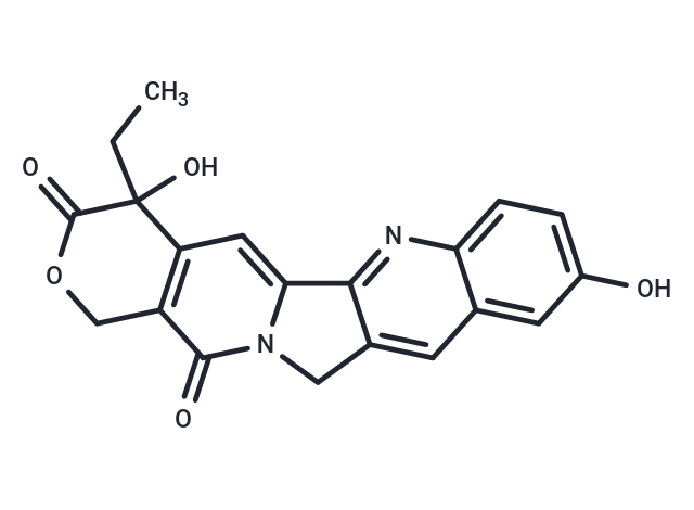 10-羥基喜樹堿,(±)-10-Hydroxycamptothecin