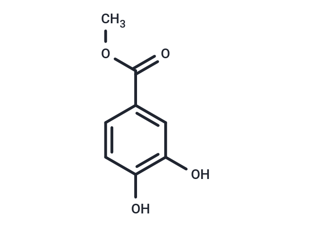 3,4-二羥基苯甲酸甲酯,Methyl 3,4-dihydroxybenzoate