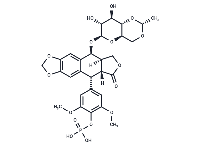 磷酸依托泊苷,Etoposide Phosphate