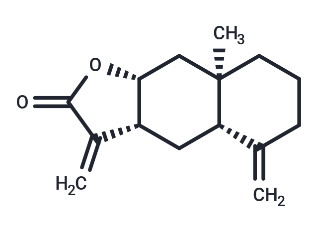 異土木香內(nèi)酯,Isoalantolactone