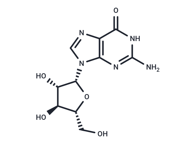 阿糖鳥(niǎo)苷,Ara-G