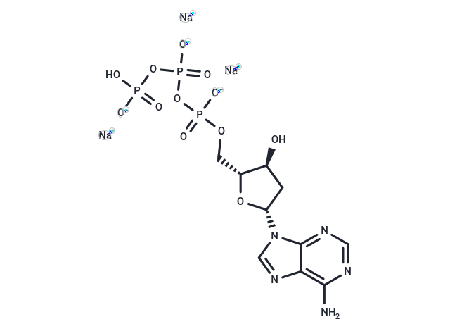 dATP 三鈉鹽,2'-Deoxyadenosine-5'-triphosphate trisodium