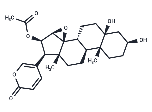 華蟾毒它靈,Cinobufotalin