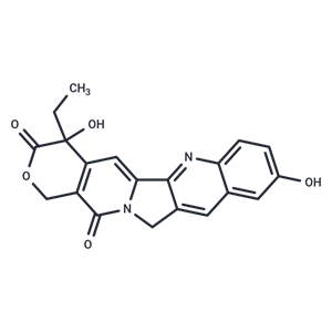 10-羥基喜樹堿,(±)-10-Hydroxycamptothecin