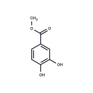 3,4-二羥基苯甲酸甲酯|T1368