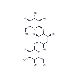 卡那霉素|T8118|TargetMol