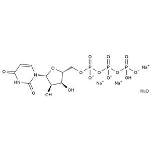 尿苷5＇-三磷酸三鈉鹽水合物,Uridine 5＇-Triphosphate Trisodium Salt Hydrate