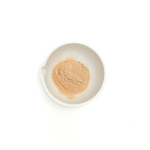 蘆薈凝膠粉,Aloe vera gel powder