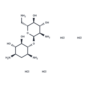 新霉胺四鹽酸鹽,Neamine tetrahydrochloride