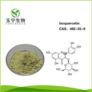 異槲皮素,ISOQUERCETIN