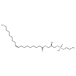 化合物18:1 Lyso-PE|T37280|TargetMol