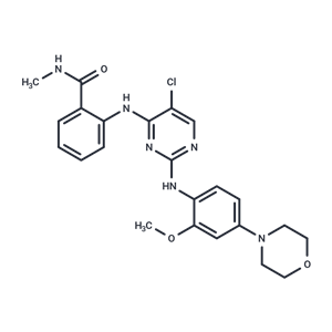 化合物 NVP-TAE 226|T1918|TargetMol