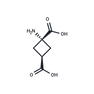 反式-氨基二羧酸,Trans-ACBD