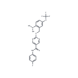 化合物 SX-682|T8497|TargetMol