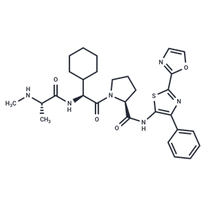 化合物 CUDC-427|T15018|TargetMol