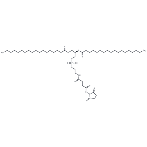 化合物 DSPE-NHS|T77284|TargetMol