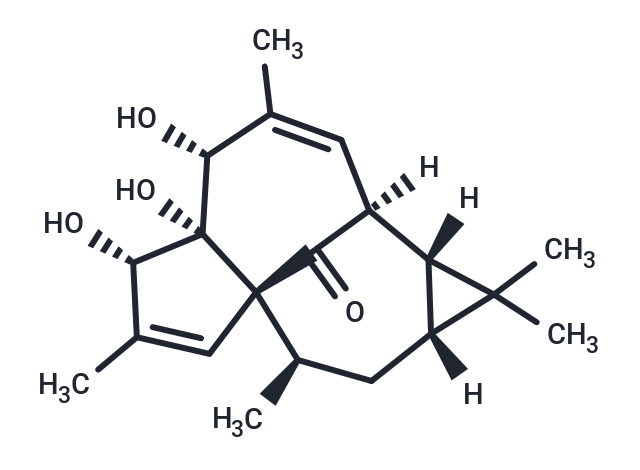 20-去氧巨大戟萜醇,20-DEOXYINGENOL