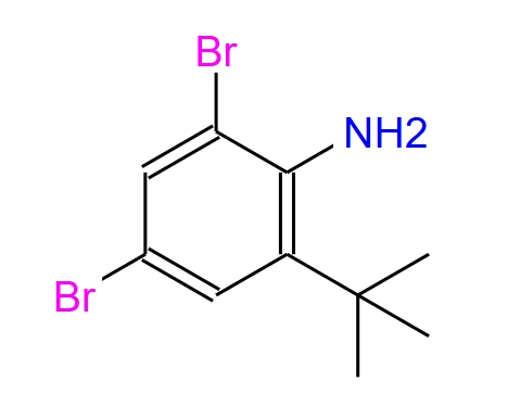 2,4-二溴-6-(叔丁基)苯胺,2,4-Dibromo-6-(tert-butyl)aniline