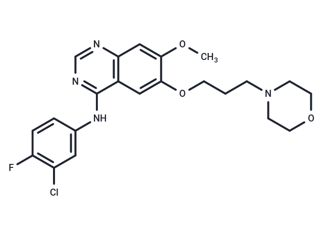 吉非替尼,Gefitinib