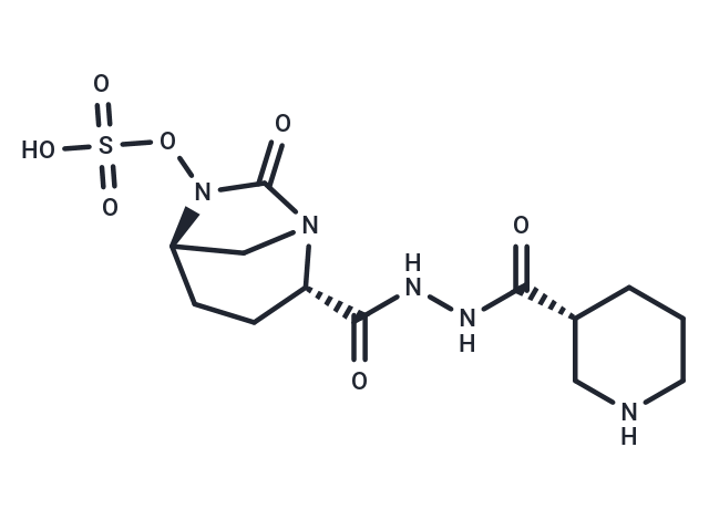 齊德巴坦,Zidebactam