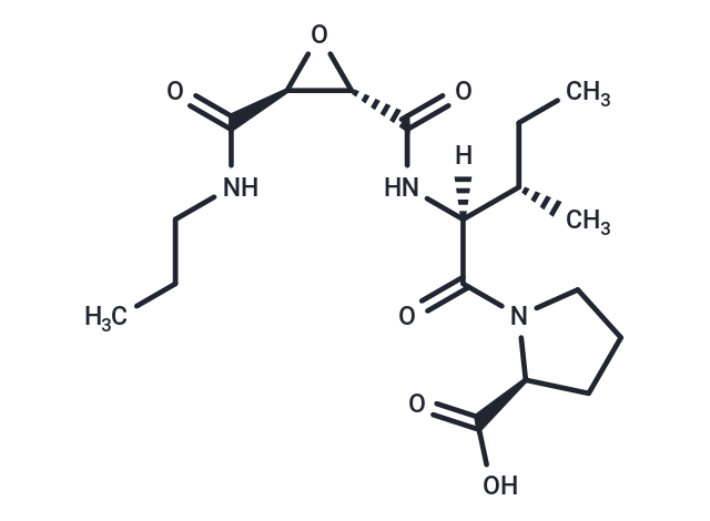 化合物 CA 074,CA 074