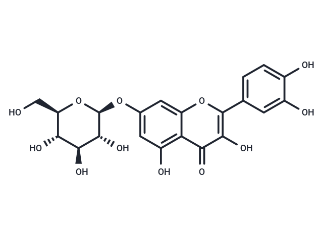 槲皮素-7-O-葡萄糖苷,Quercimeritrin