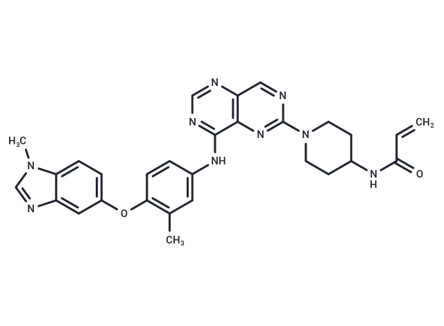 化合物 Zongertinib,Zongertinib